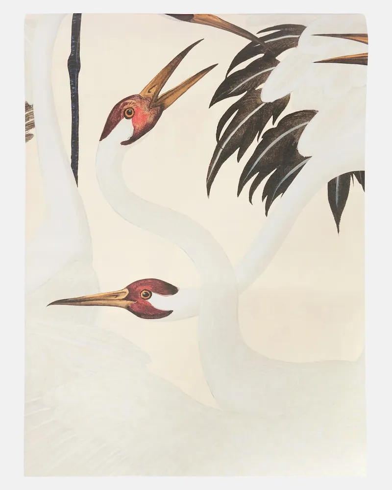 Gucci Tapete Heron Multicolor