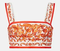 Cropped-Top Majolica