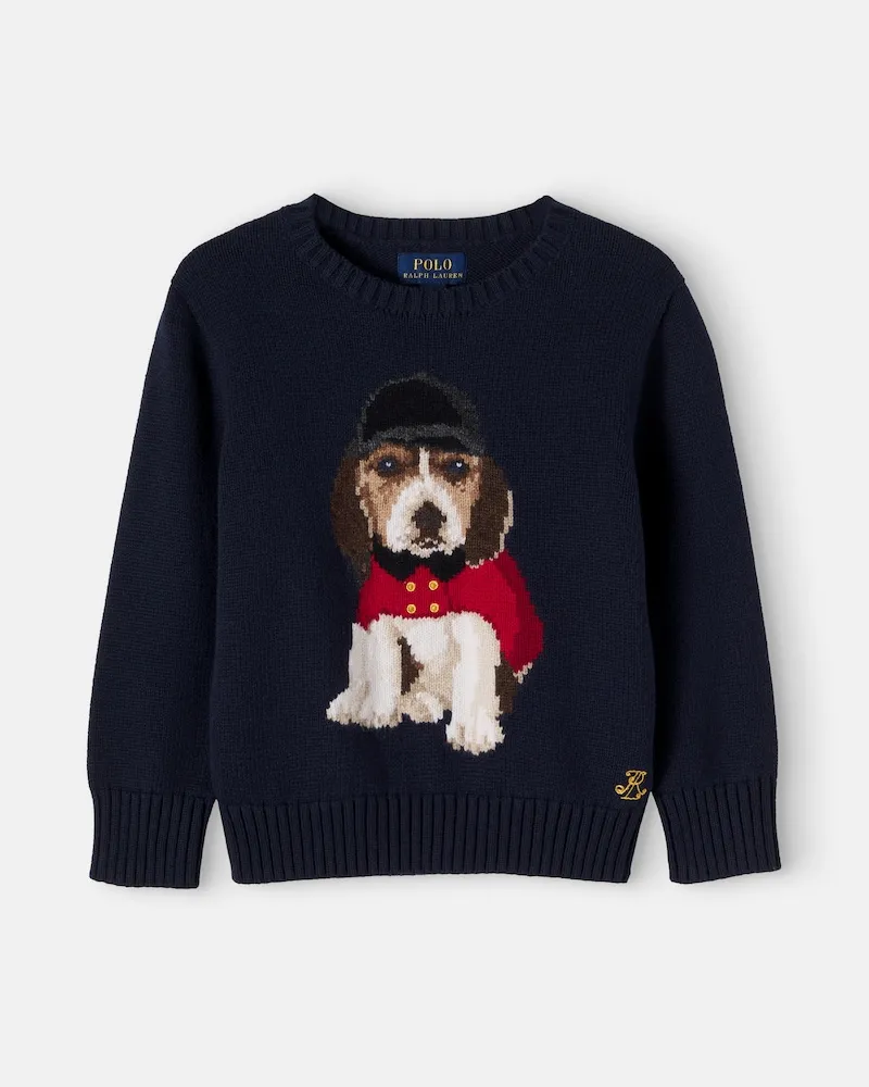 Ralph Lauren Pullover aus Baumwolle Blau