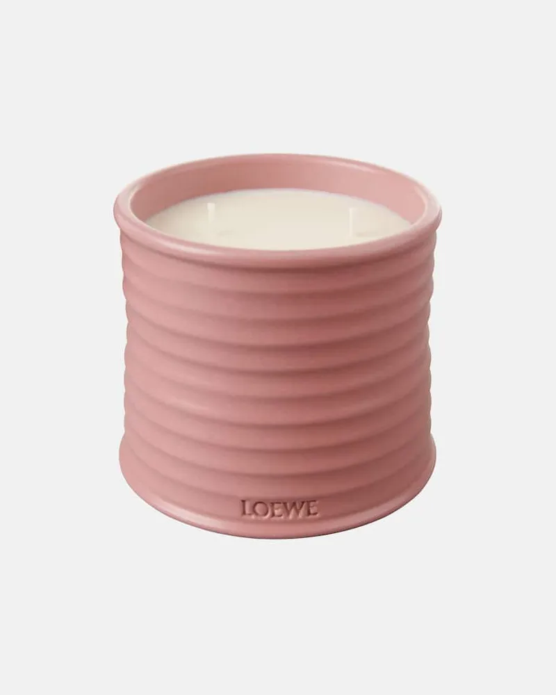 Loewe Home Scents Duftkerze Ivy Medium Rosa