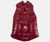 Moncler Poldo Dog Couture Mantel für Hunde