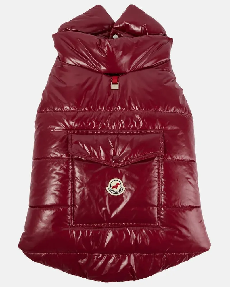 Moncler Moncler Poldo Dog Couture Mantel für Hunde Rot