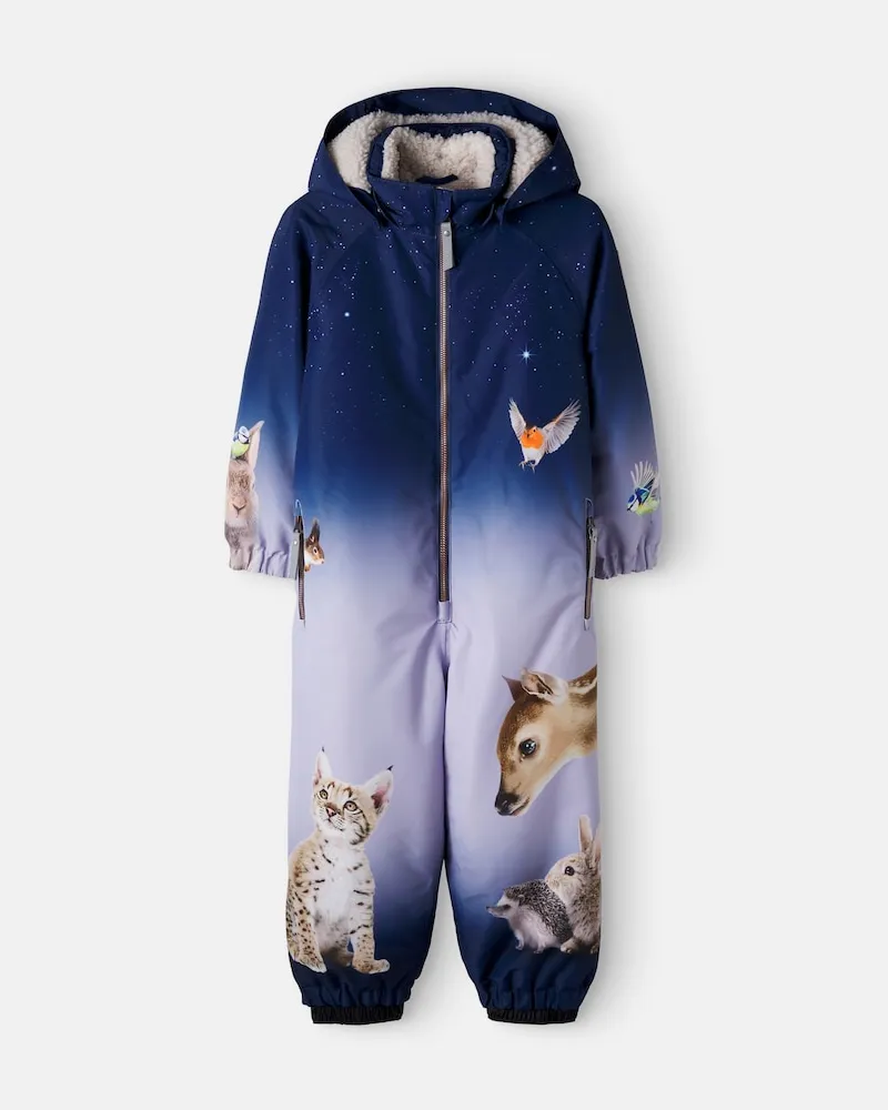 Molo Skianzug Polar Multicolor
