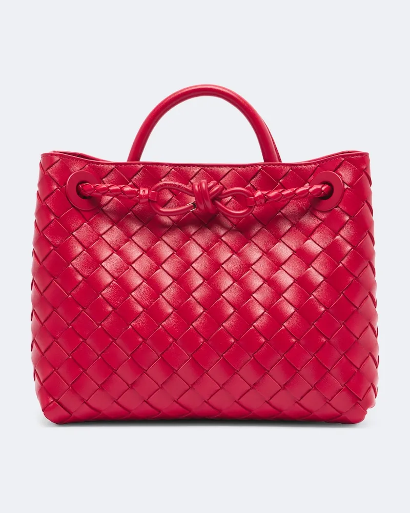 Bottega Veneta Tote Bag Andiamo Small aus Leder Rot
