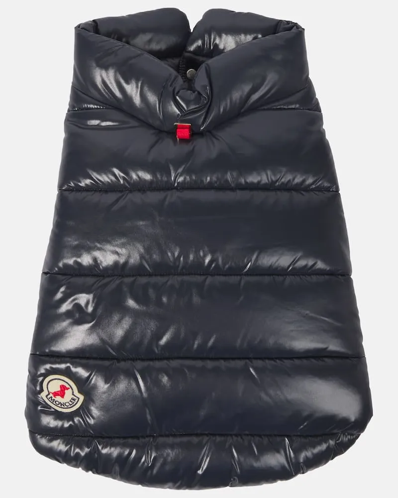 Moncler Mantel fuer Hunde Blau