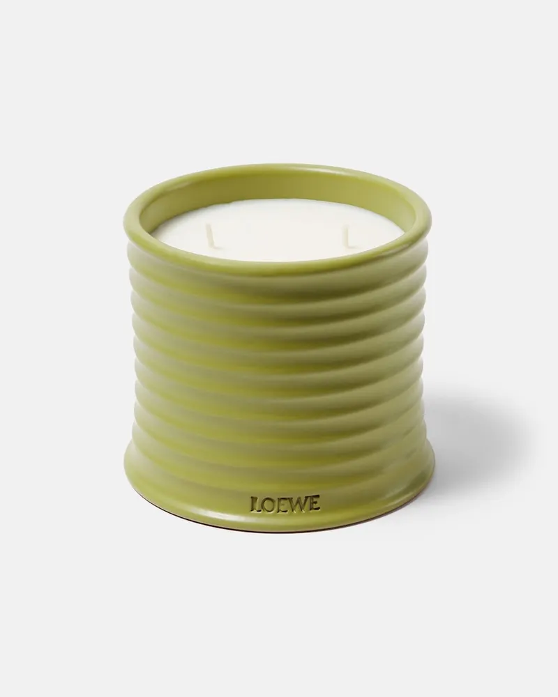 Loewe Home Scents Duftkerze Pisachio Medium Grün