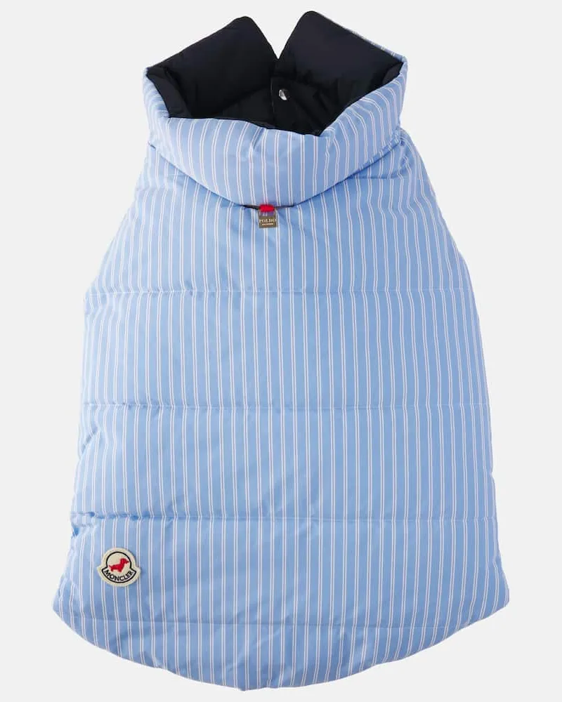 Moncler Moncler Poldo Dog Couture Mantel für Hunde Blau