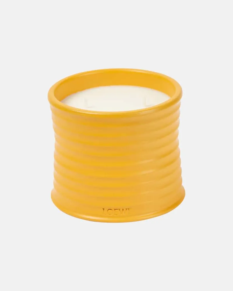 Loewe Home Scents Duftkerze Wasabi Medium Gelb