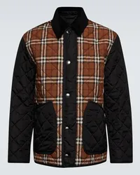 Burberry Karierte Steppjacke Multicolor