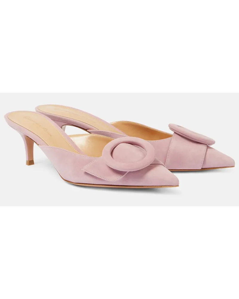 Gianvito Rossi Mules Portofino 55 aus Veloursleder Pink