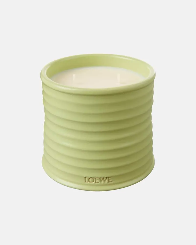 Loewe Home Scents Duftkerze Cucumber Medium Grün