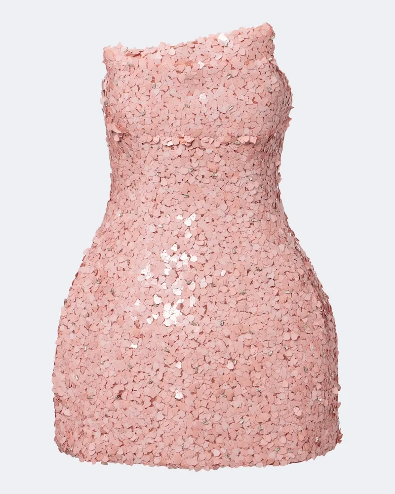 Rachel Gilbert Verziertes Bustierkleid Karter Rosa