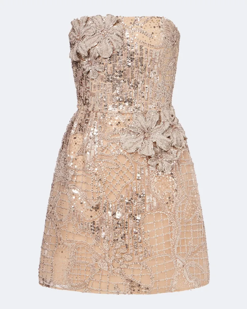Elie Saab Verziertes Minikleid aus Tüll Beige