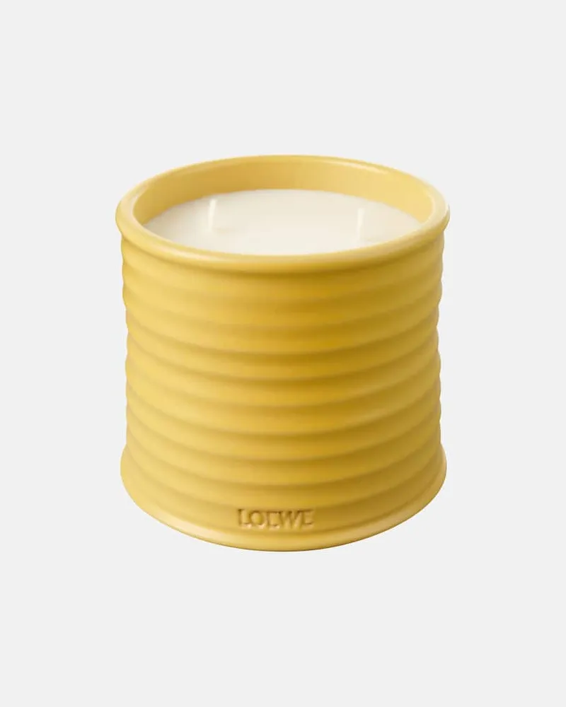 Loewe Home Scents Duftkerze Honeysuckle Medium Gelb