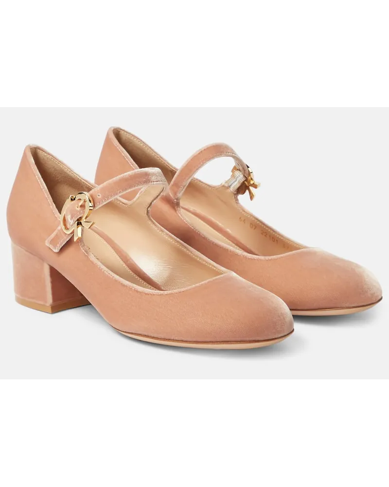 Gianvito Rossi Pumps Mary Ribbon 45 aus Samt Pink