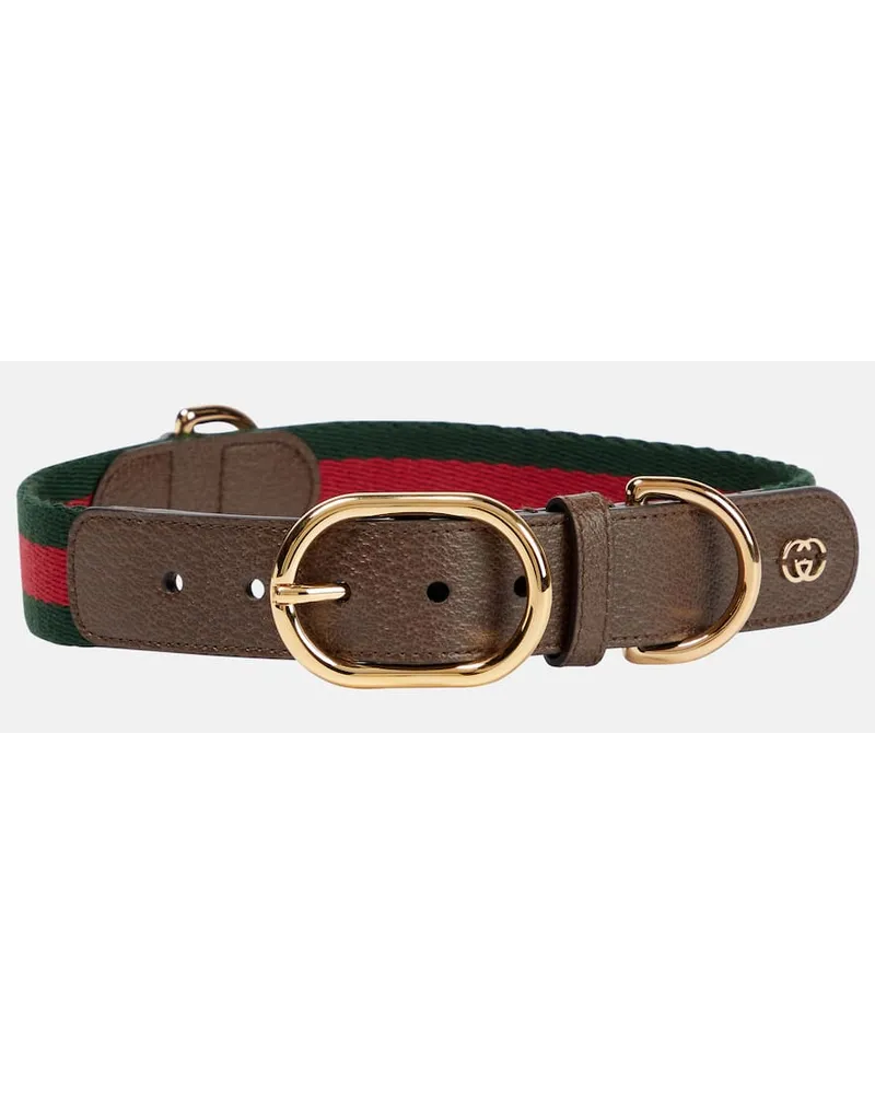 Gucci Halsband Fuer Hunde Web Stripe Multicolor