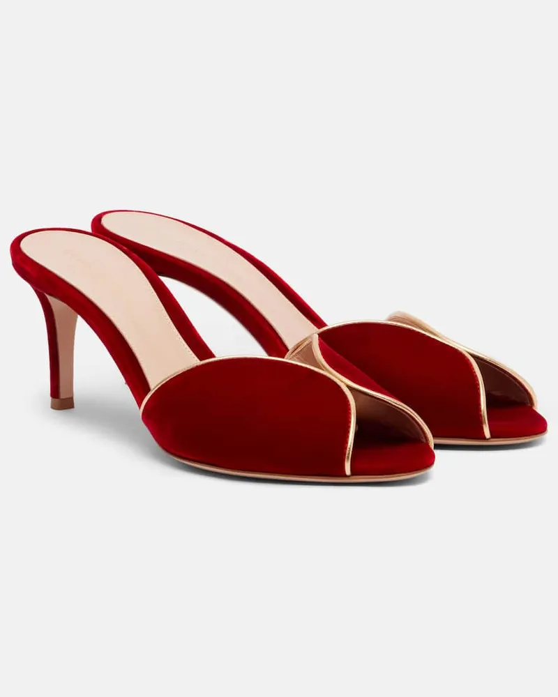 Gianvito Rossi Pantoletten 70 aus Samt mit Leder Rot