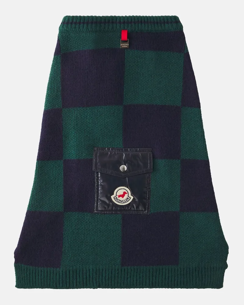 Moncler Moncler Poldo Dog Couture Pullover für Hunde Multicolor