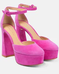 Gianvito Rossi Plateau-Pumps Holly D'Orsay aus Veloursleder Pink