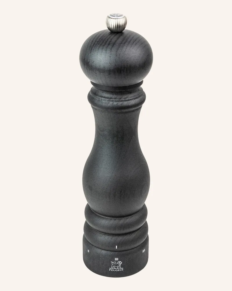 Peugeot Salzmühle Paris grau Grau