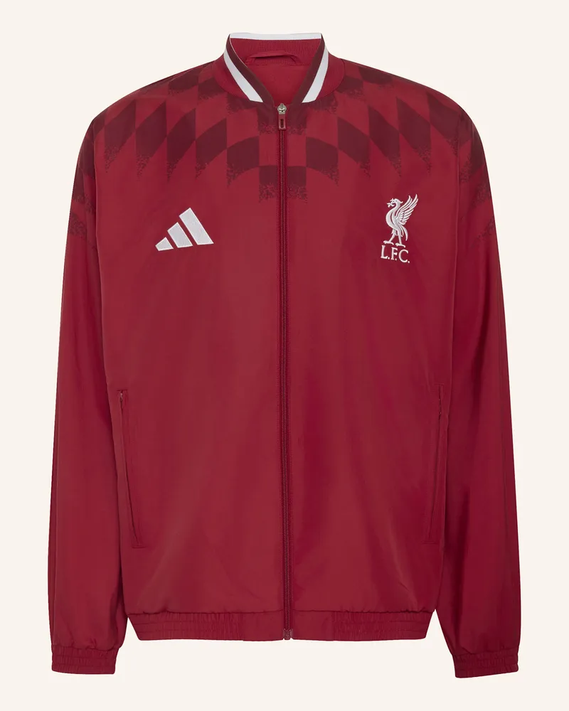adidas Fc Liverpool Stadium Trainingsjacke rot Rot