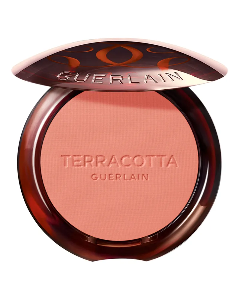 Guerlain Terracotta Blush Rouge 02