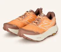 Trailrunning-Schuhe FRESH FOAM X HIERRO V9