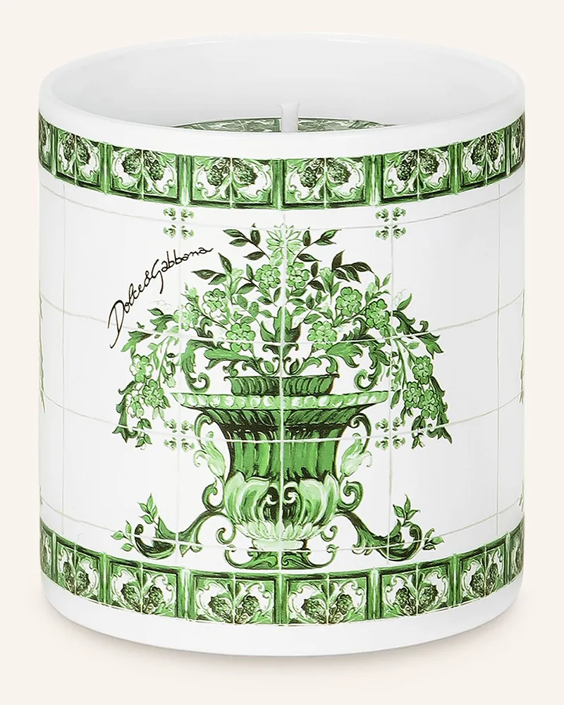 Dolce & Gabbana Casa Duftkerze gruen Weiss