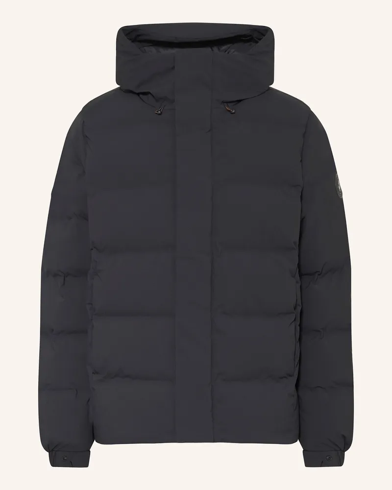 Save The Duck Steppjacke LELAND Schwarz
