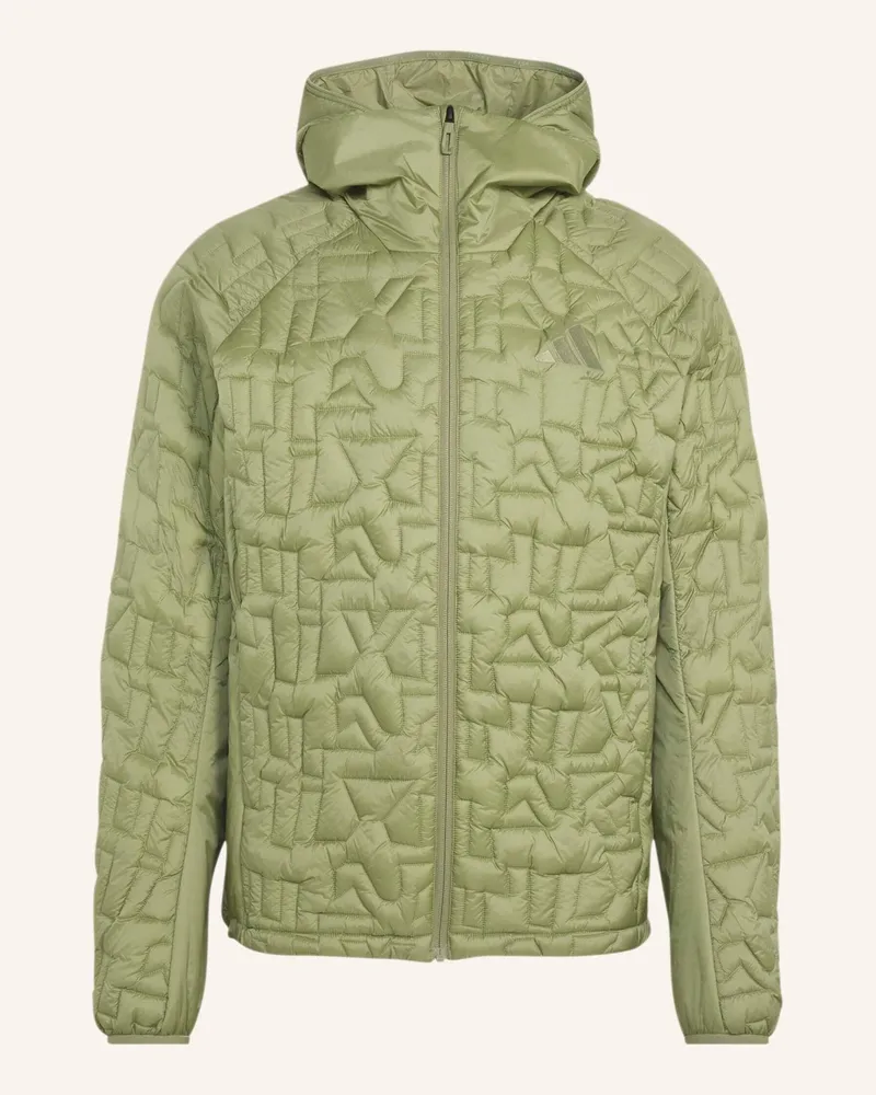adidas Terrex Xperior Primaloft Jacke, Kapuze, Isoliert, Lose Füllung gruen Grün