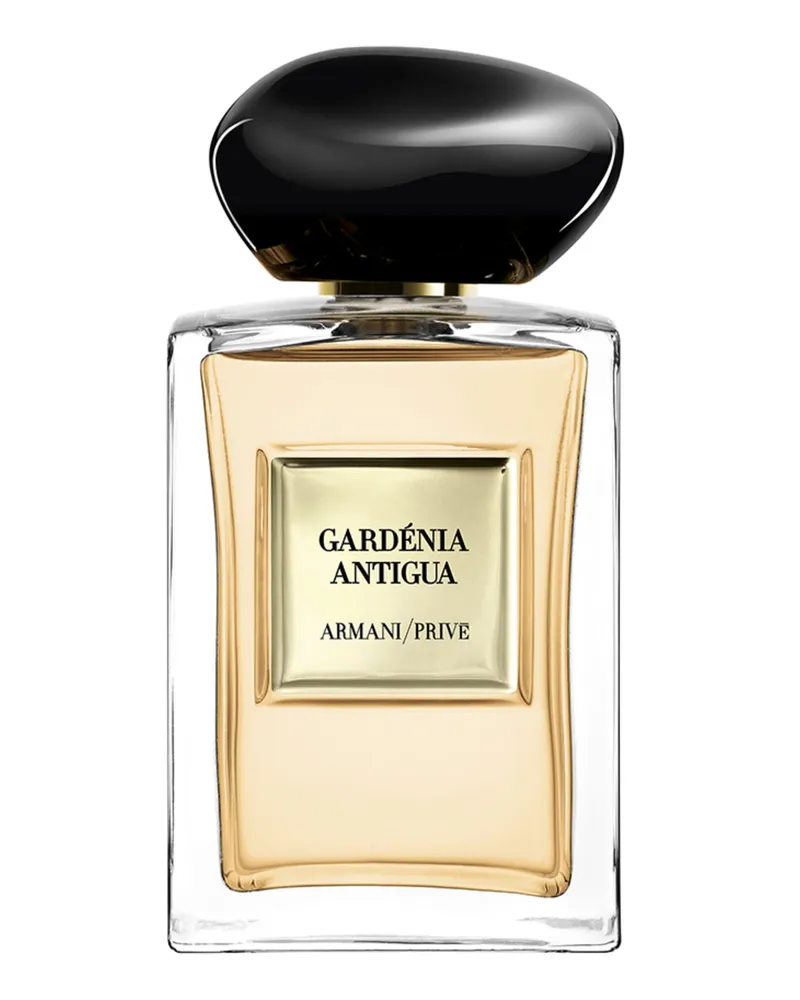 Emporio Armani GARDÉNIA ANTIGUA 
