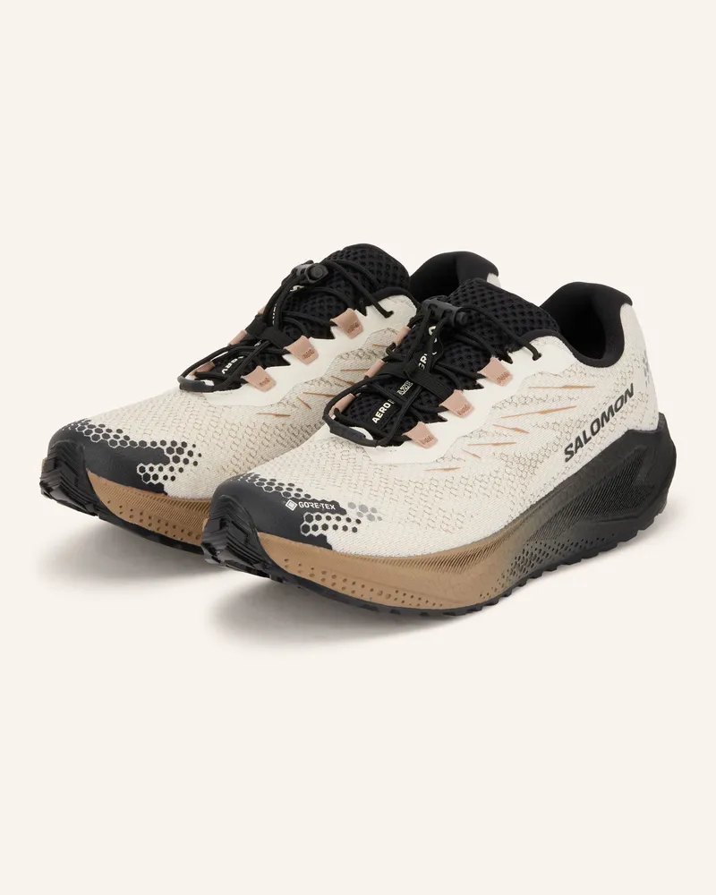 Salomon Trailrunning-Schuhe Aero Blaze 4 Grvl Gtx beige Creme