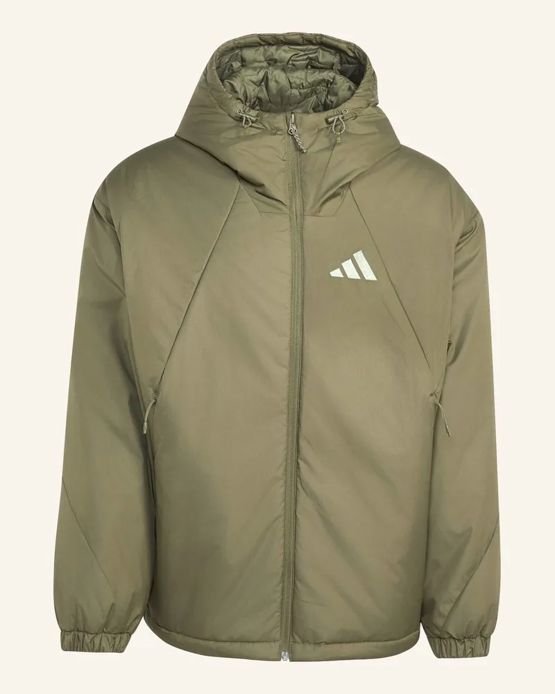 adidas Terrex Multi Primaloft Jacke, Kapuze, Isolierend gruen Grün
