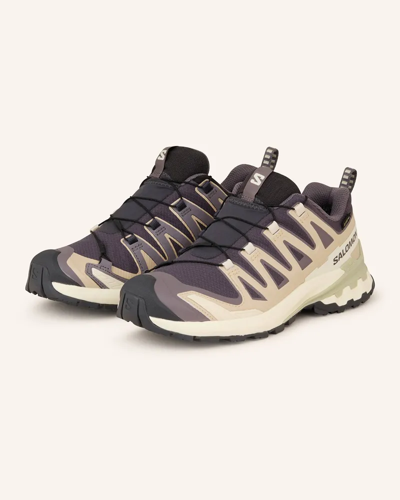 Salomon Wanderschuhe Xa Pro 3d v9 Gtx grau Dunkellila