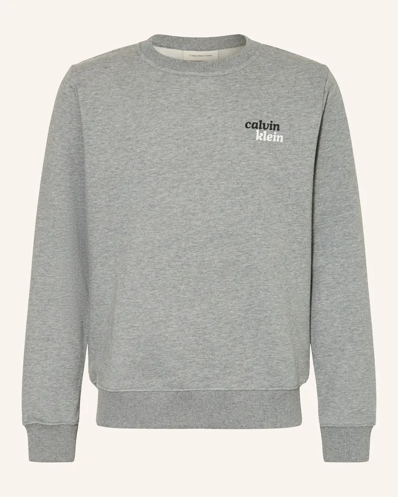 Calvin Klein Sweatshirt grau Grau