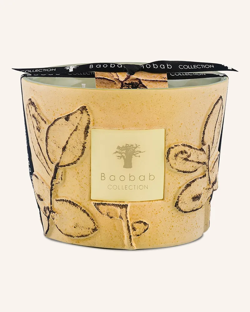 Baobab Collection Duftkerze Garrigue gelb Dunkelgelb