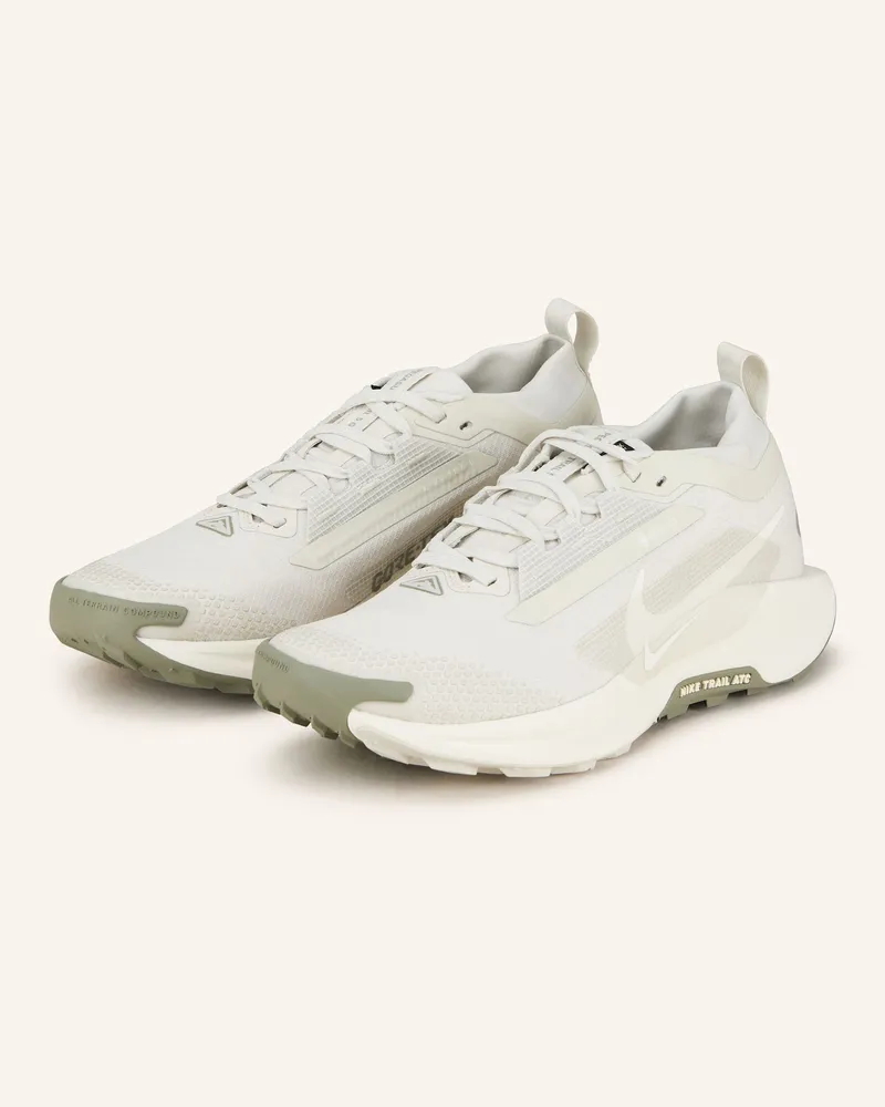 Nike Trailrunning-Schuhe PEGASUS TRAIL 5 GTX Hellgrau