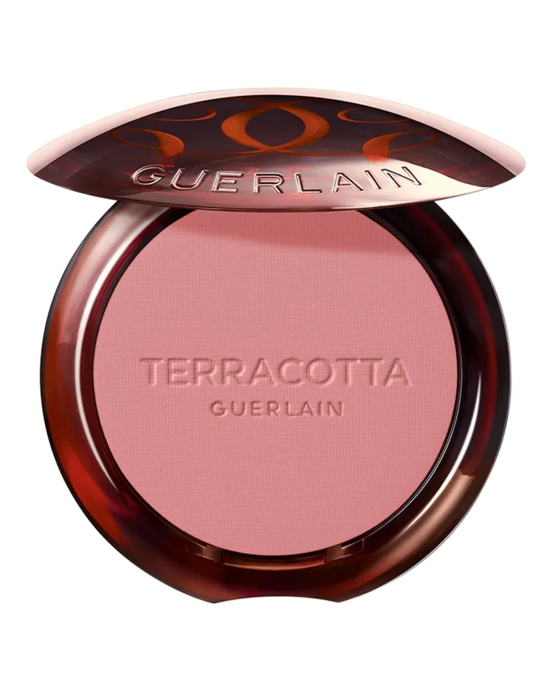 Guerlain Terracotta Blush Rouge 01