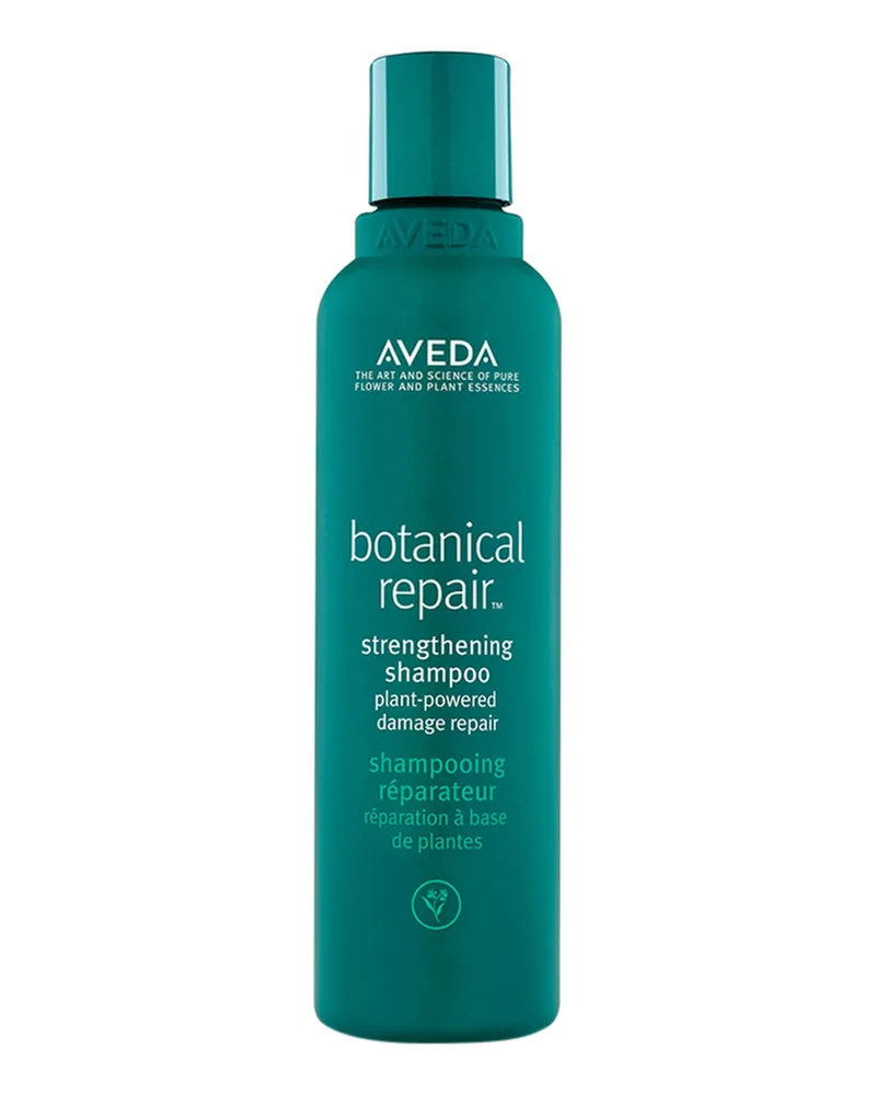 Aveda BOTANICAL REPAIR 