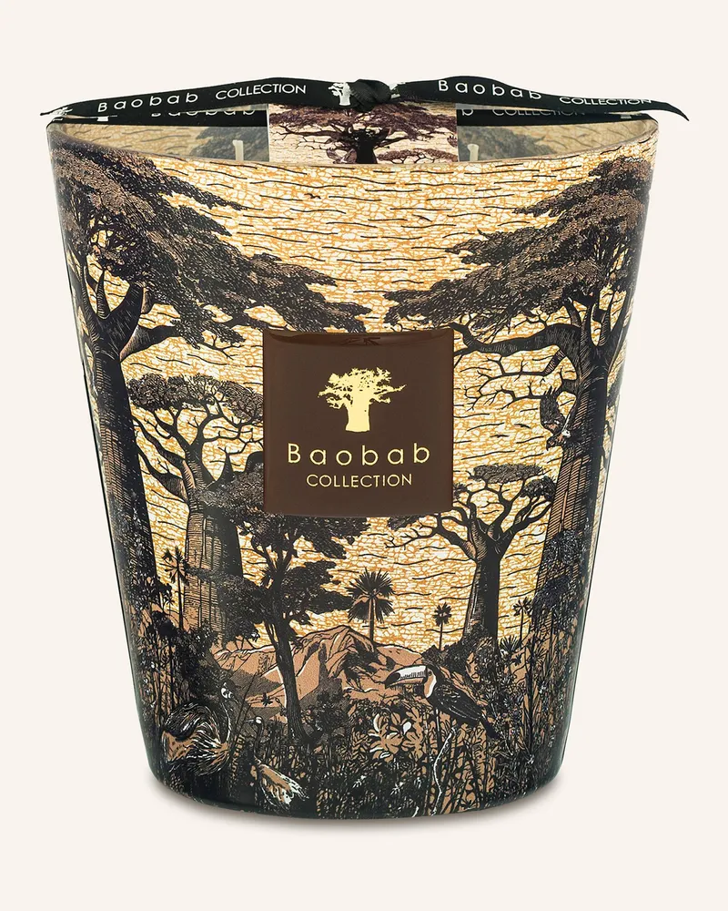Baobab Collection Duftkerze SACRED TREES MANKONO Dunkelbraun