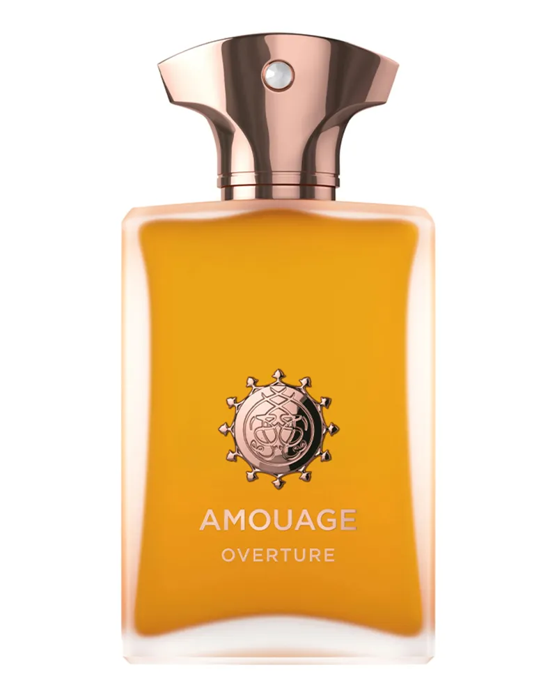 Amouage Overture Man Eau de Parfum 100 ml 