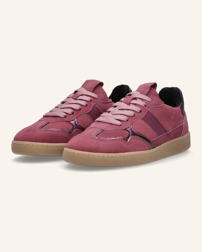 Apple of Eden Sneaker Fuchsia