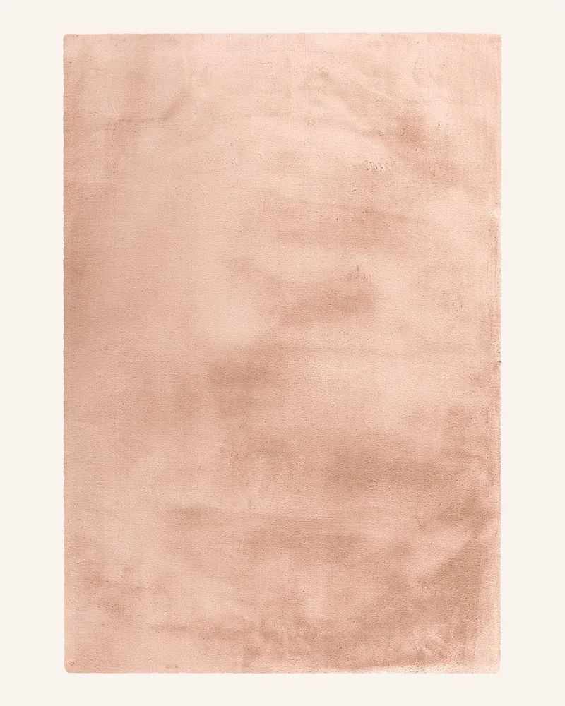 Kayoom Hochflor Teppich RABBIT Creme