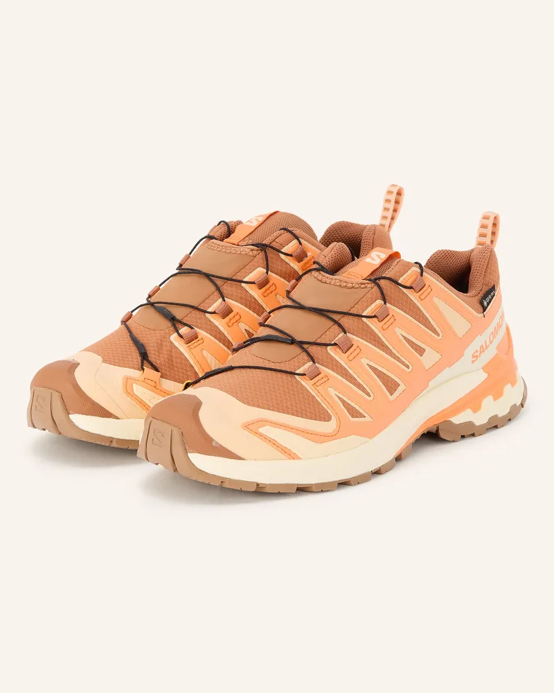 Salomon Wanderschuhe Xa Pro 3d v9 Gtx orange Dunkelorange