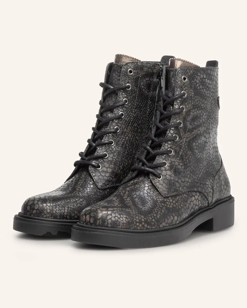 Floris van Bommel Stiefel LUSI 04 Taupe