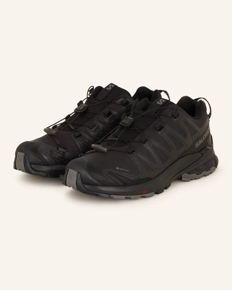 Salomon Wanderschuhe XA PRO 3D V9 GTX Schwarz