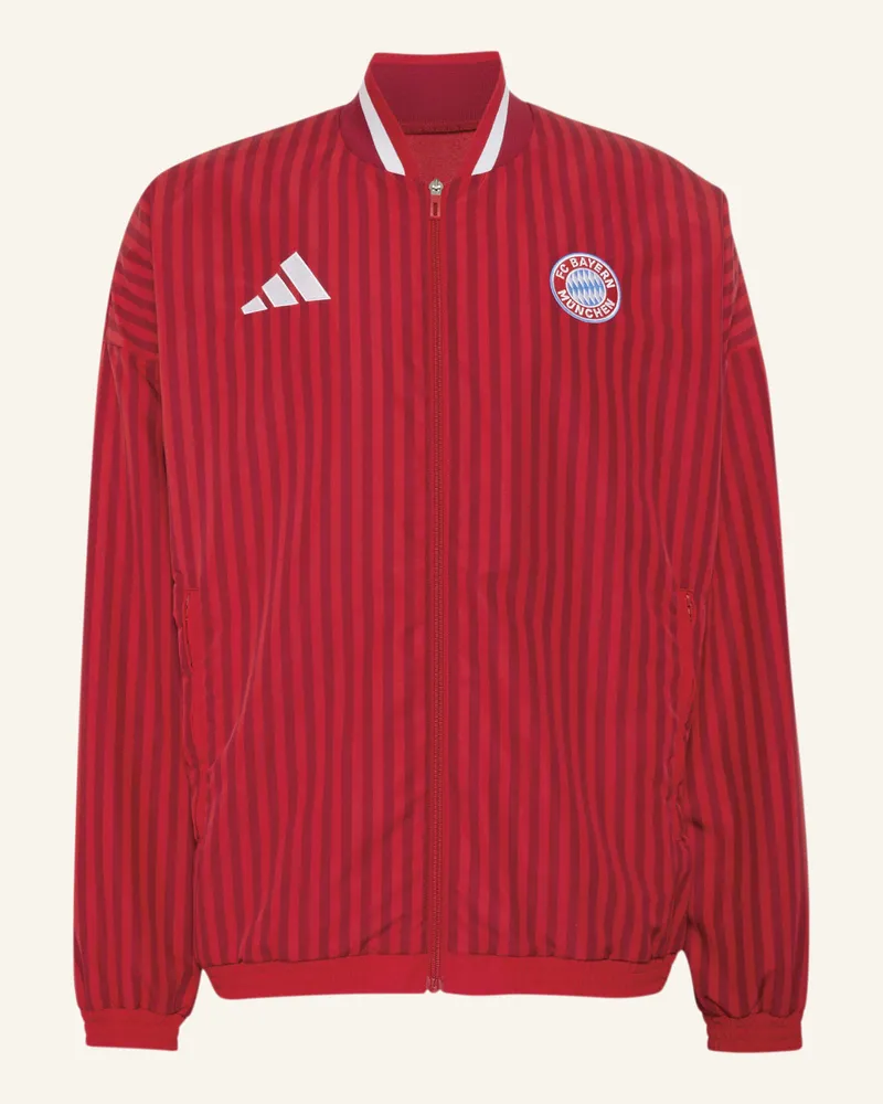 adidas Fc Bayern München Stadium Trainingsjacke rot Rot