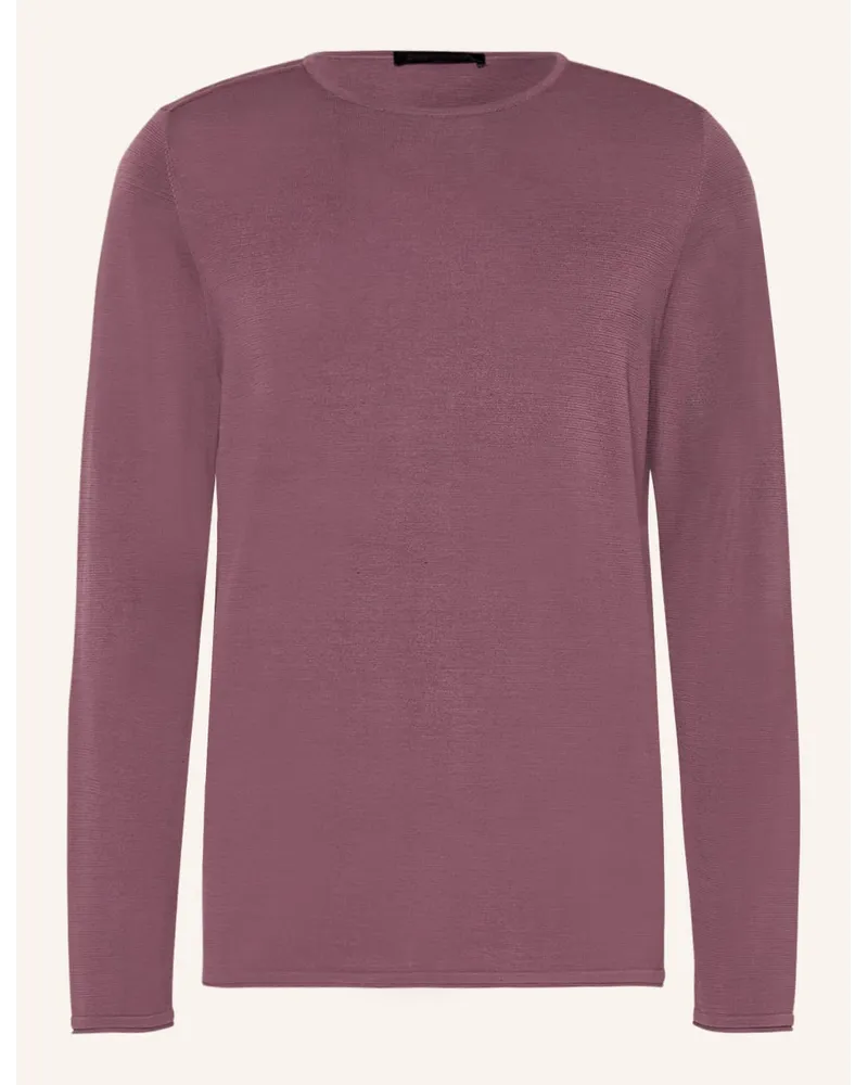 Drykorn Pullover RIKONO Lila