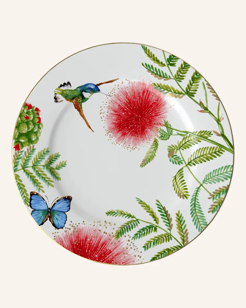 Villeroy & Boch Gourmetteller Amazonia weiss Gelb
