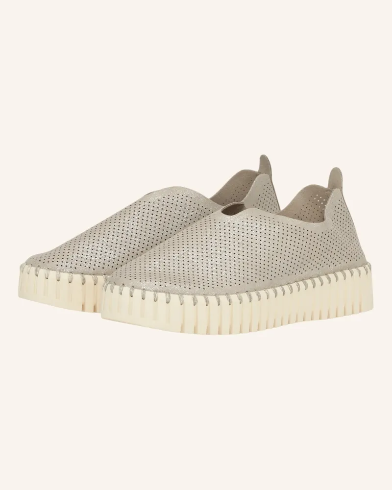 Ilse Jacobsen Slipper tulip3577 grau Silber